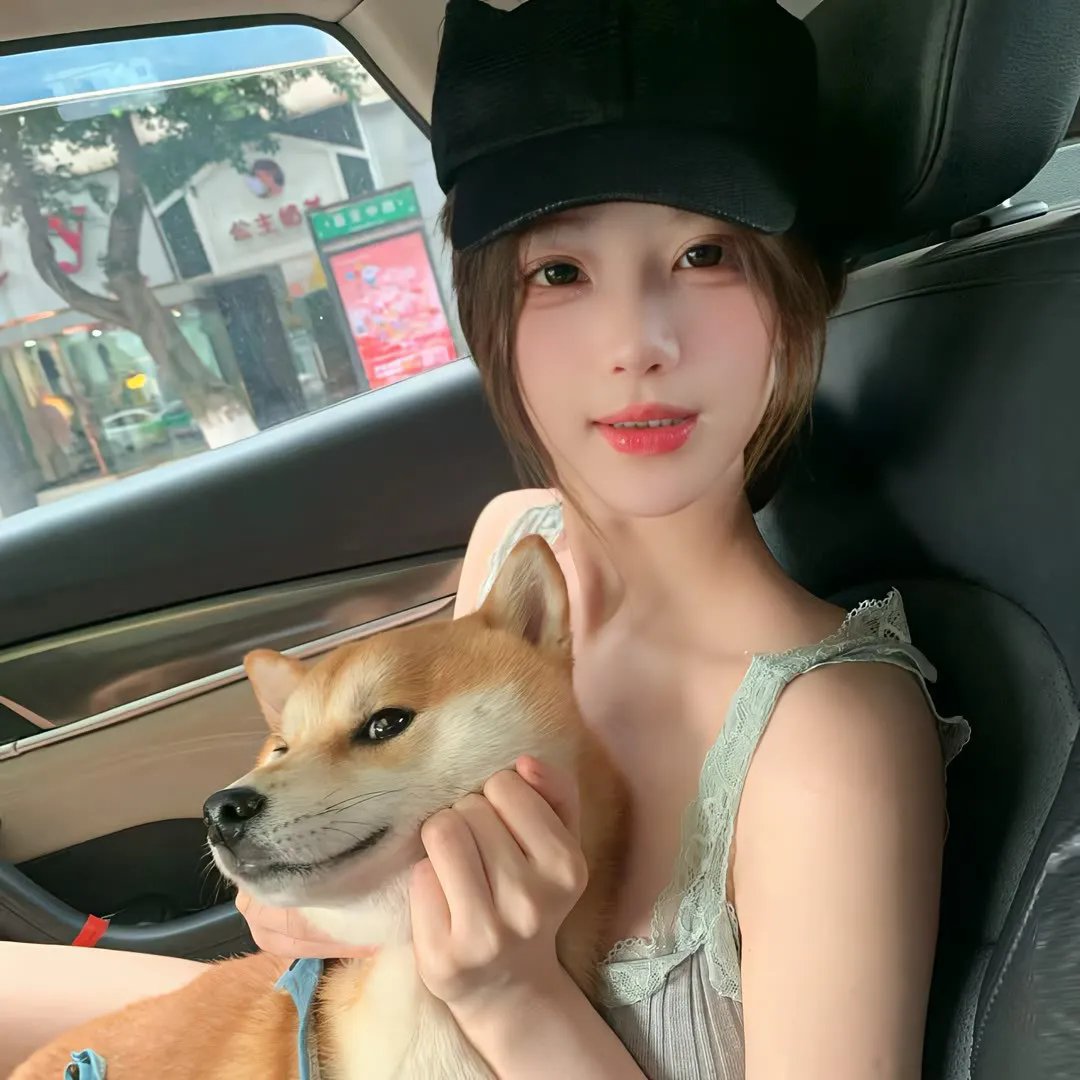 忍冬玫瑰 海报